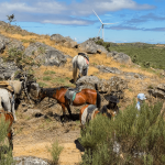 01:00 PM – Traditional Mountain Lunch