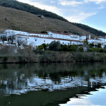 10h15 - Visita Privada e Degustação na Quinta das Carvalhas