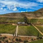 Douro Valley 4x4 Safari